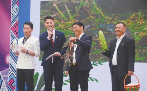 南宁市兴宁区电商大集热闹举行 全方位多平台展示产业发展成果