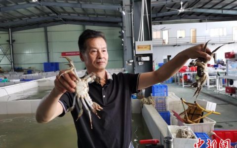 江苏省消保委发布《大闸蟹电商销售服务规范》