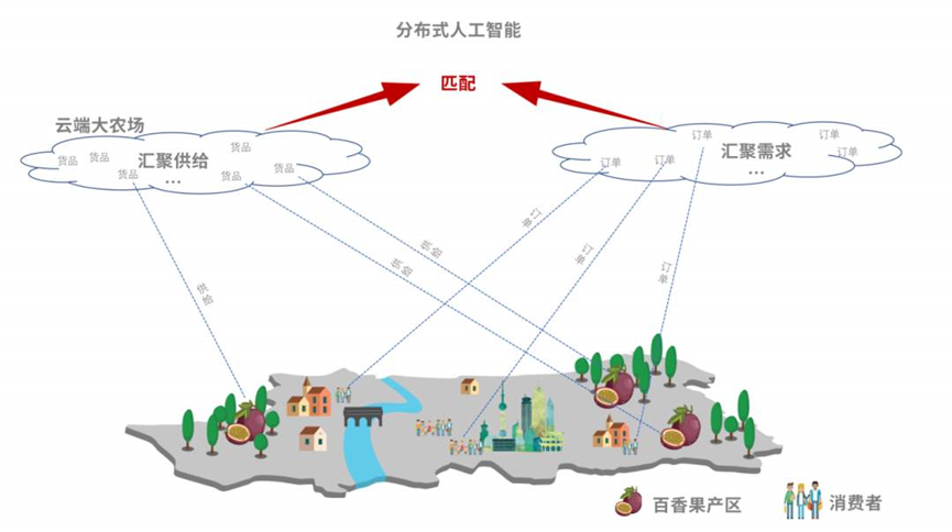 扎根乡土，农村电商成为新一代的“务农人”