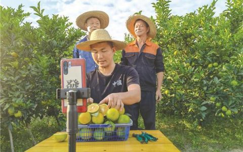 廉江“红橙哥哥”助力家乡农产品