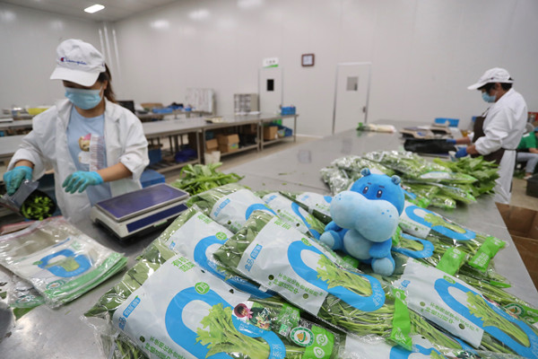 盒区房用户更“懂生活”？盒马双12发了一份消费报告