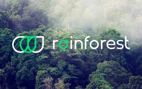 “亚洲版Thrasio”雨林Rainforest正式登陆中国，开启品牌收购新机遇