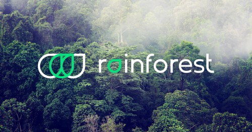 “亚洲版Thrasio”雨林Rainforest正式登陆中国，开启品牌收购新机遇