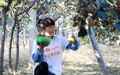 从“物有所值”到“物超所值” 酷消销寻求电商平台新突破
