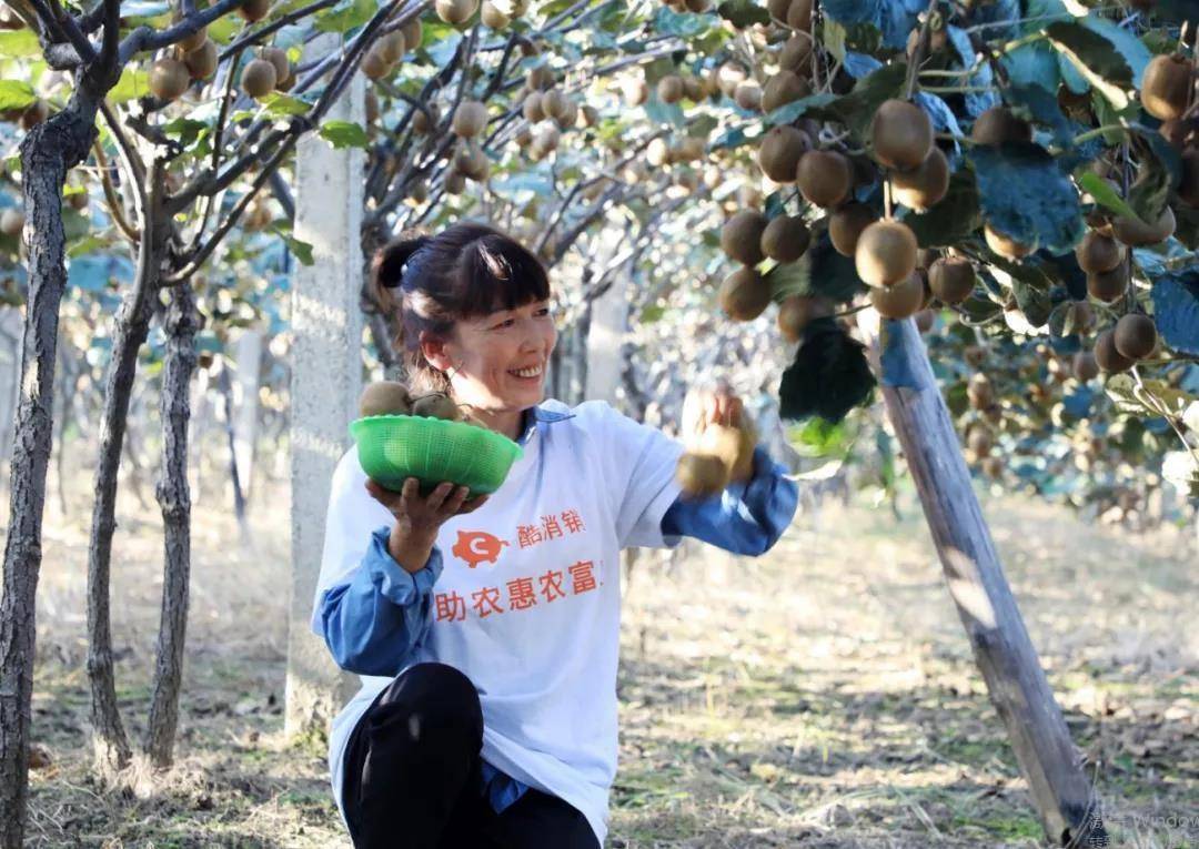 从“物有所值”到“物超所值” 酷消销寻求电商平台新突破