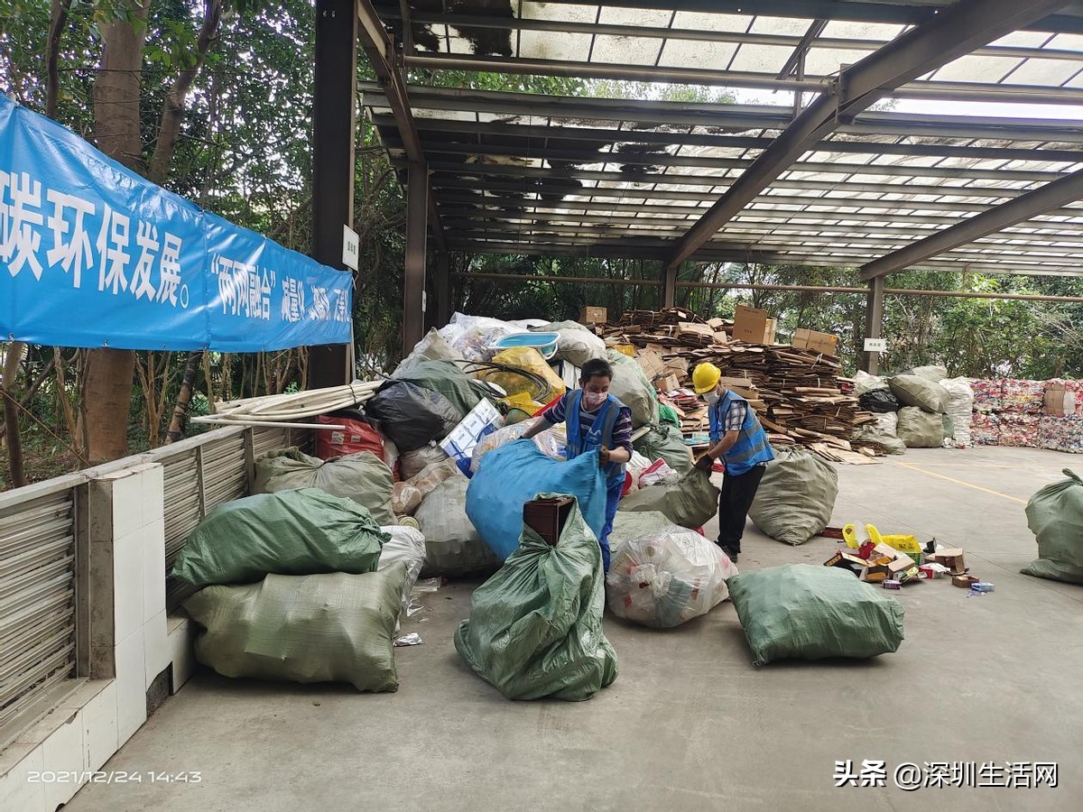 沙头角街道推行“两网融合”创新型模式，融出垃圾分类新成效