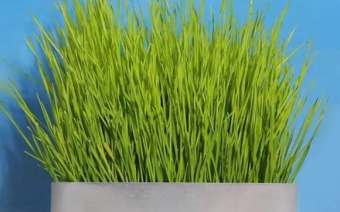 文创盘活文化遗产，激发了年轻人的“文化自信”