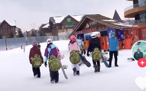 “小乌龟”走红冰雪圈，企业如何分流千亿冰雪产业？