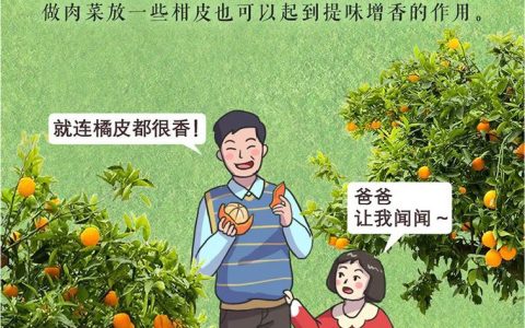 好物源究所丨一颗高质量柑橘的诞生