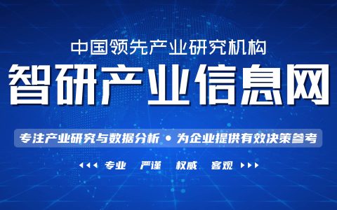 2022-2028年中国网红电商行业市场调查研究及投资策略研究报告