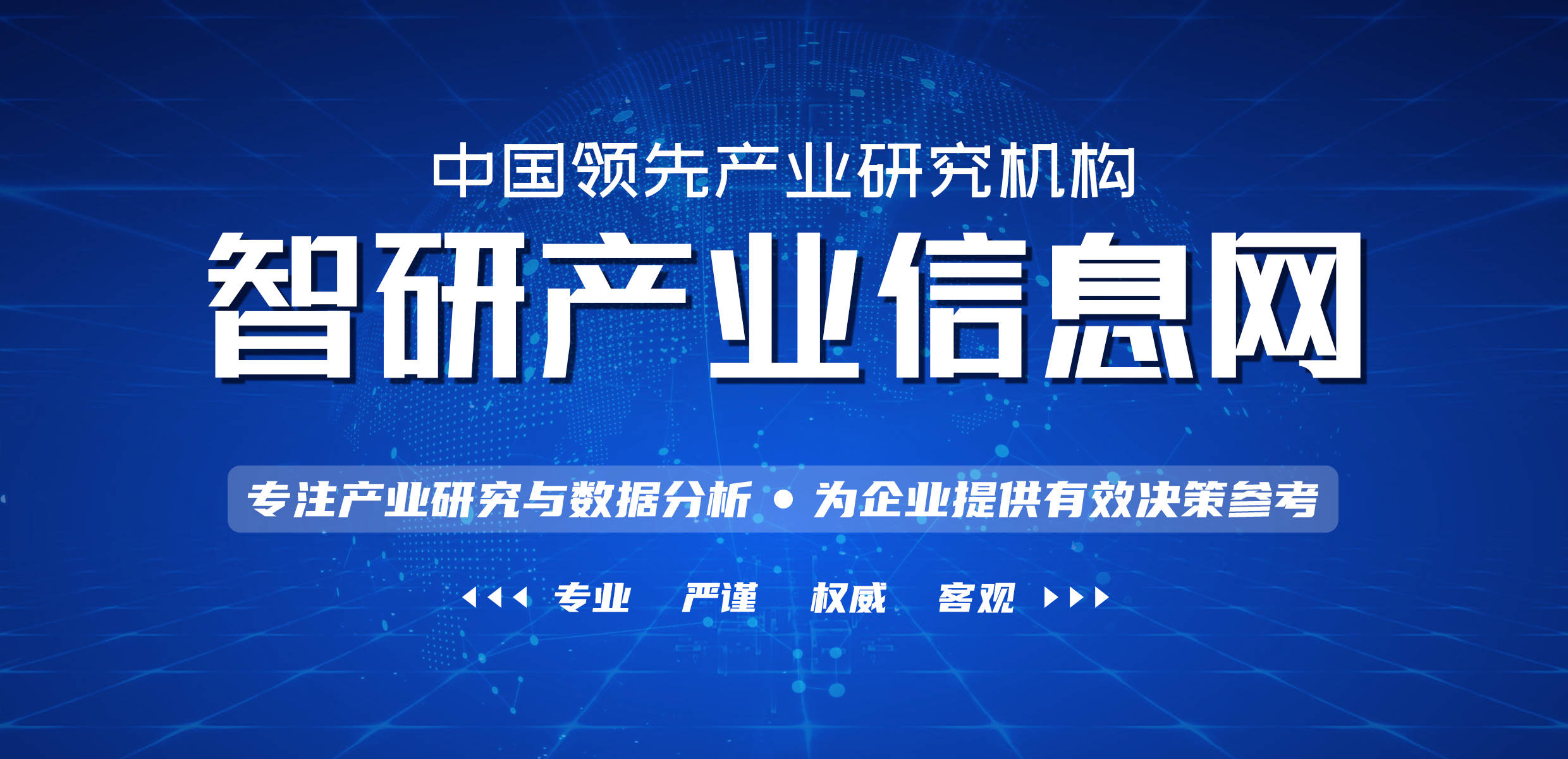 2022-2028年中国网红电商行业市场调查研究及投资策略研究报告