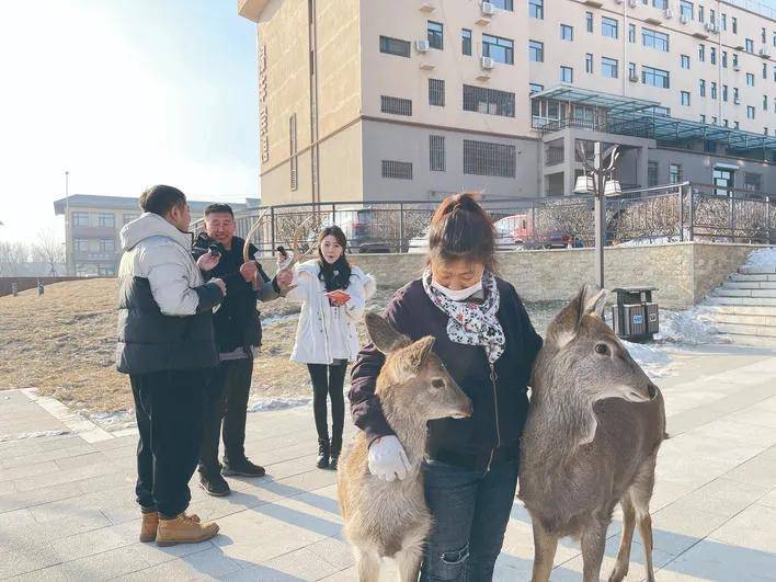 新经济直播月为长春新兴消费城建设赋能