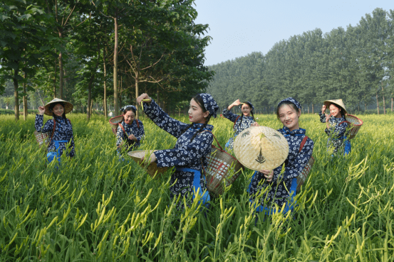 小小直播间 撬动大市场 淮阳区做好四篇文章 推动农产品加速上行