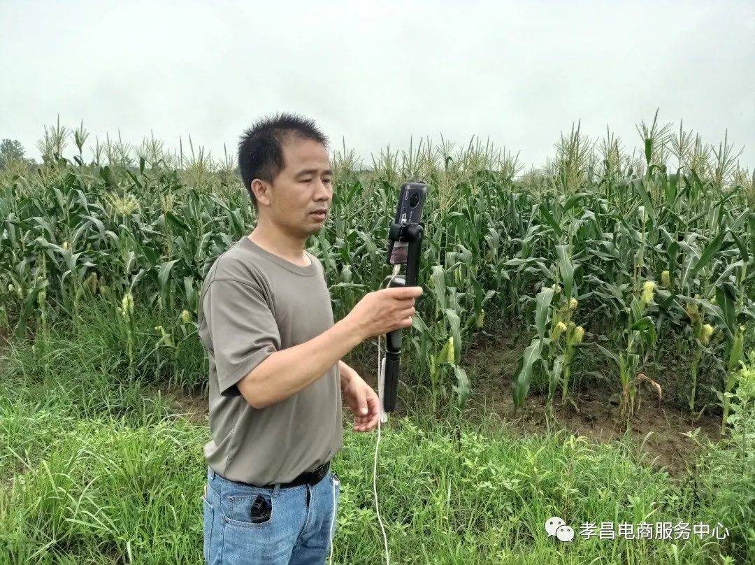 【电商头条】孝昌乡村主播“云”卖货 助力乡村振兴