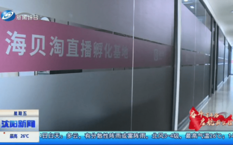 月升月美 海贝淘｜共建区域性流量中心，引领电商高质量发展