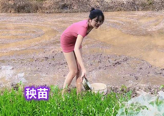 广西：年轻美女穿短裙干农活遭吐槽，网友：这是在干活？