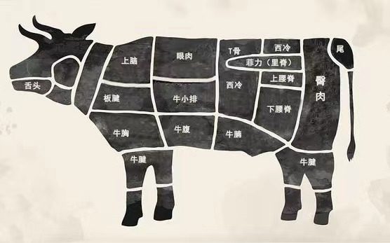 30秒教你看透一头牛，好好吃牛肉快收藏这份东方甄选“选牛”指南
