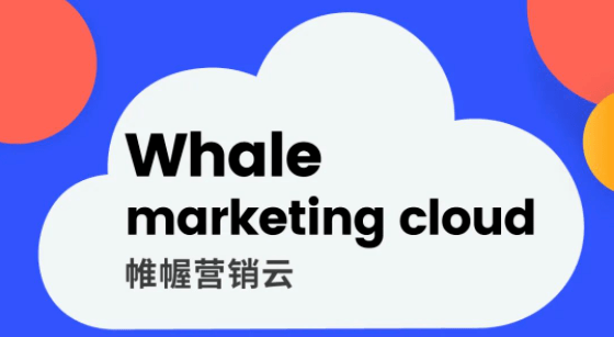 Whale 帷幄创始人叶生晅：以技术为品牌赋能，助力中国企业打造出自己的品牌