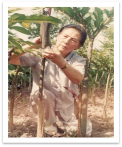 致敬！为中国美好生活奉献的第一代农业科学家——刘佩瑛教授