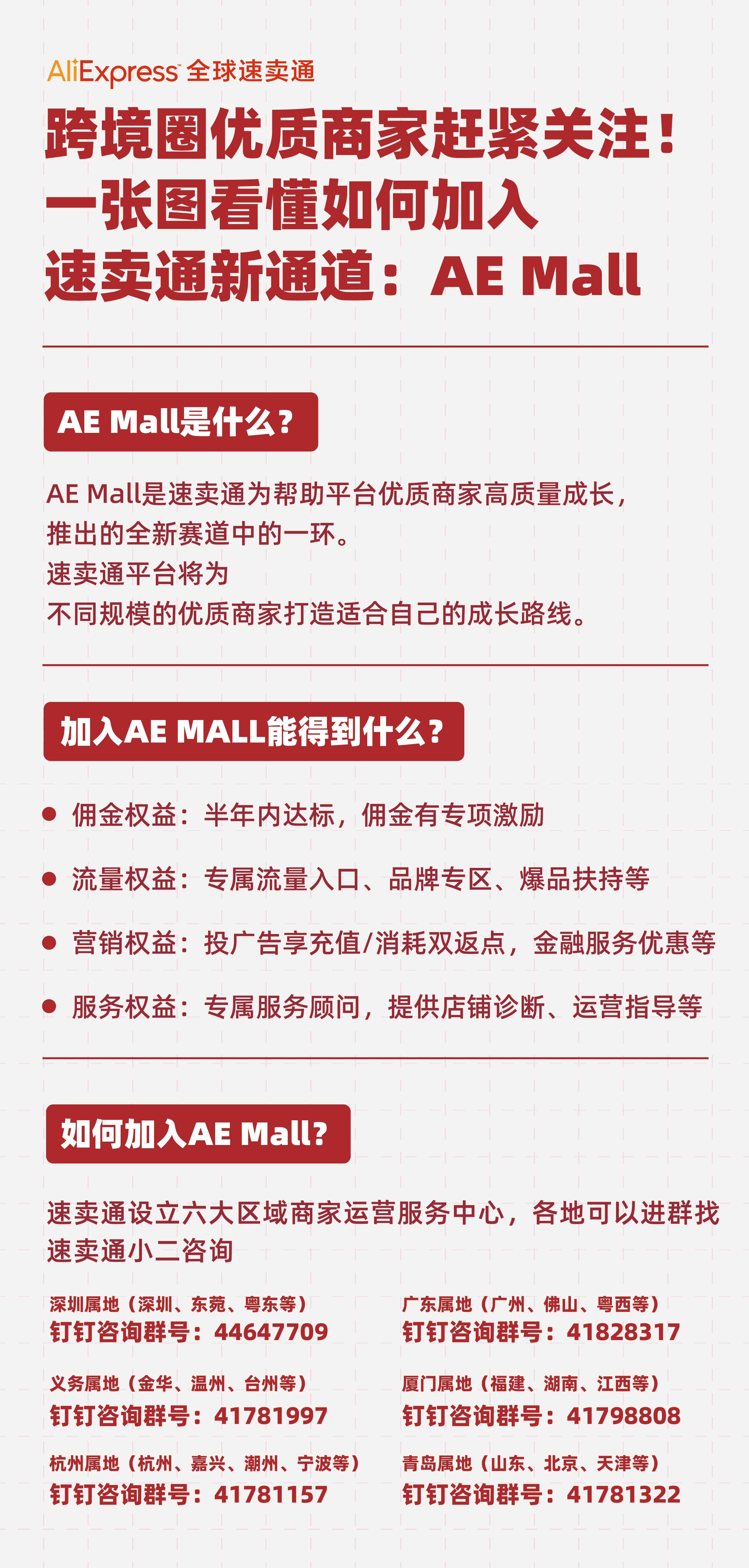 3一图看懂AE MALL.jpg