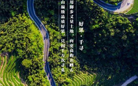 推出高端定制水果品牌“果千寻”：本来生活要打造全球顶尖水果供应链