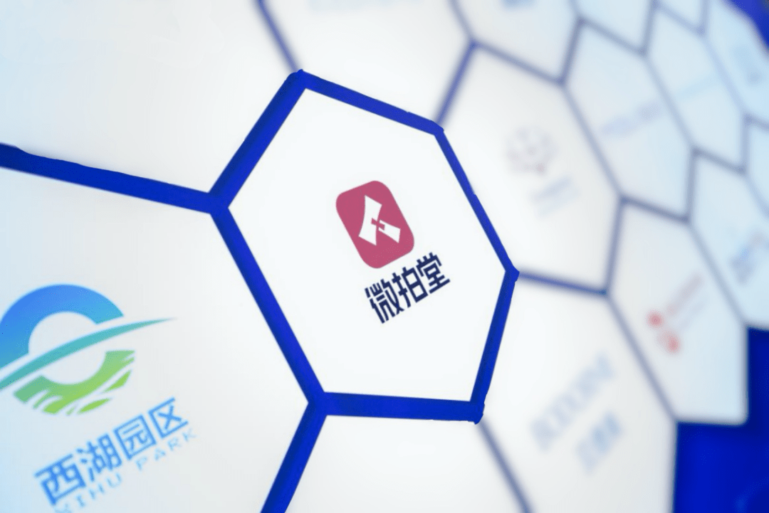 微拍堂荣获“‘杭向标’示范企业”称号并受邀参加国际电子商务博览会