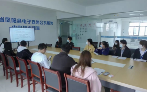 凤阳临淮关镇：党建引领聚合力 电商发展谱新篇