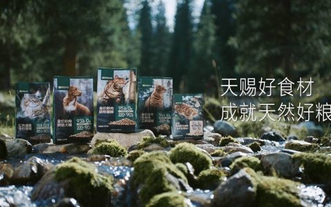 网易严选再添“新成员”，发布宠物子品牌“网易天成”主打中高端市场