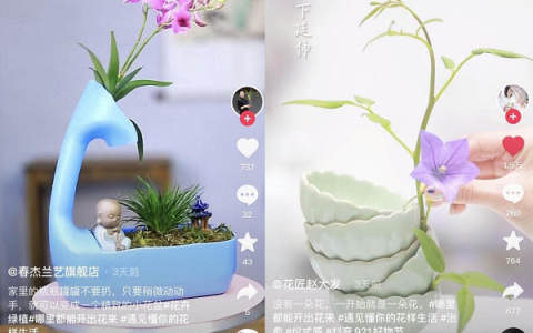 哪里都能开出花来，抖音电商让你在抖音921好物节遇见自己的花样生活！