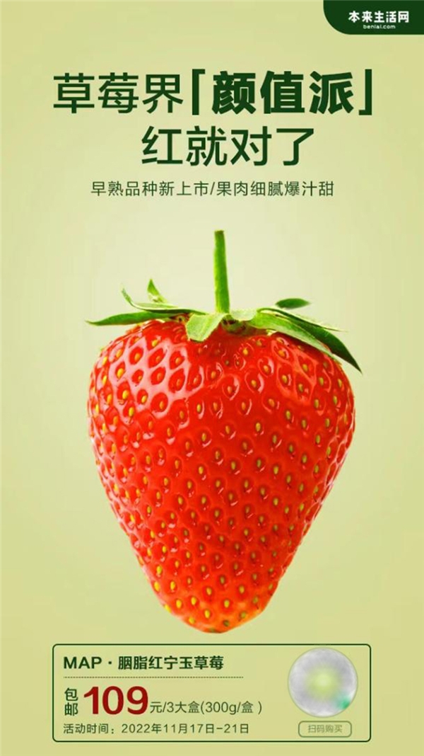 本来生活网MAP胭脂红宁玉草莓“抢鲜”上市，今冬草莓季浪漫开启