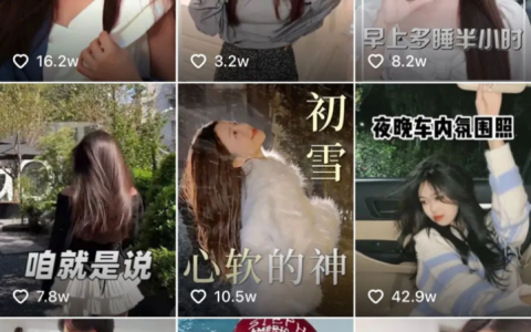 年货节在即，品牌们如何实现“好年货，早种草”？