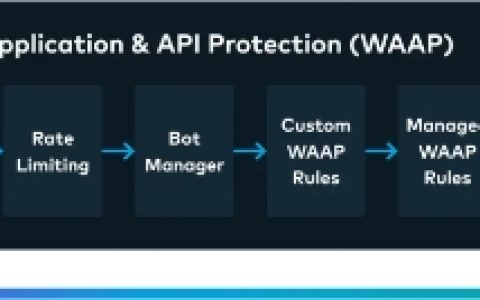 Edgio 通过 DDoS 清洗和加强的 Web 应用和 API 保护（WAAP）能力增强边缘安全解决方案