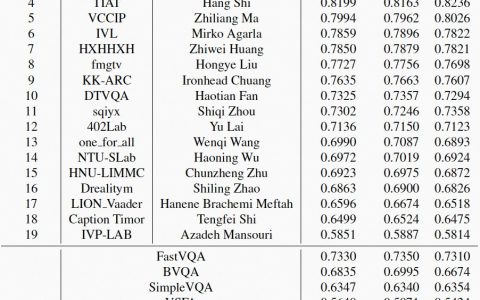 淘宝视频质量评价技术，获得全球顶级技术比赛CVPR NTIRE冠军