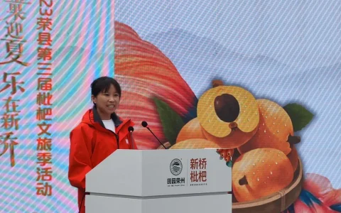 自贡网红“蜀中桃子姐”参加高峰论坛：农村家庭主妇到电商达人更加自信