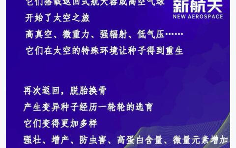 太空育种入驻淘宝 首批太空育种瓜蔬菜有望大规模上架