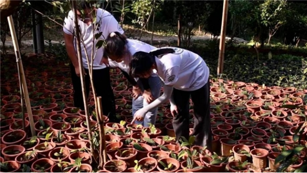 直播助农增收，电商聚力成长423