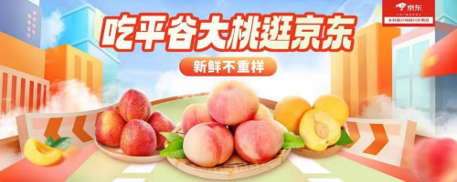 2023平谷鲜桃季拉开帷幕 京东“水果日”纽扣蟠桃、黄油桃、早凤王白桃热销