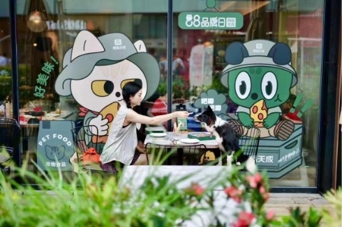 网易天成88天成日战报：登顶多渠道第一，销售与口碑齐飞
