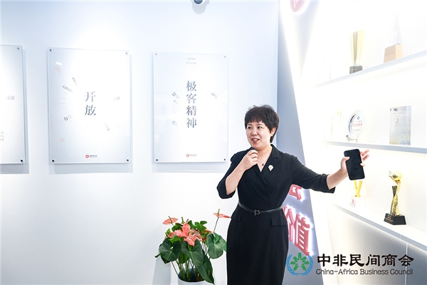 撒哈拉以南非洲国家外交官走访值得买科技