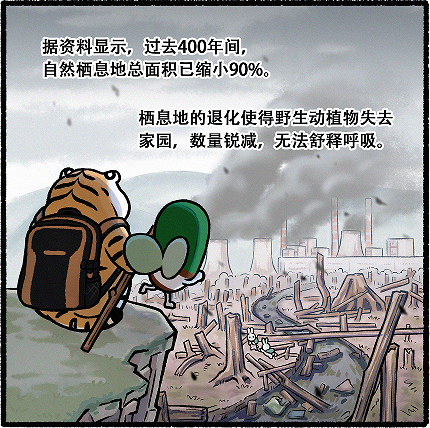 辅舒良#地球呼吸计划# x中国绿化基金会再牵手，共同修复辽东山区红松生态林
