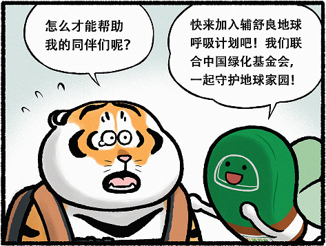 辅舒良#地球呼吸计划# x中国绿化基金会再牵手，共同修复辽东山区红松生态林