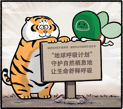 辅舒良#地球呼吸计划# x中国绿化基金会再牵手，共同修复辽东山区红松生态林