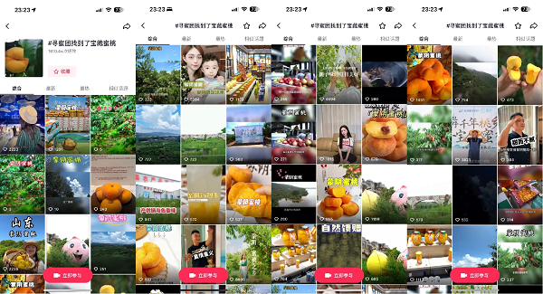 宝藏蜜桃“出逃”记：数字助力蒙阴蜜桃走向全国