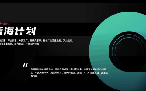 零基础也能快速出海，「新海计划」助力产业带商家掘金海外