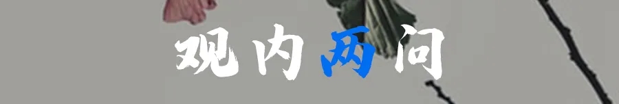 1641797977237.webp
