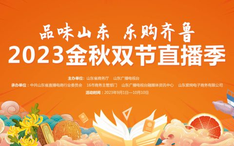 闪电评论｜搭乘电商快车 消费提振年跑出山东“加速度”