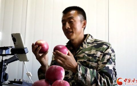 【迎老乡·回故乡·建家乡】静宁苹果电商达人杜变乐的“致富经”
