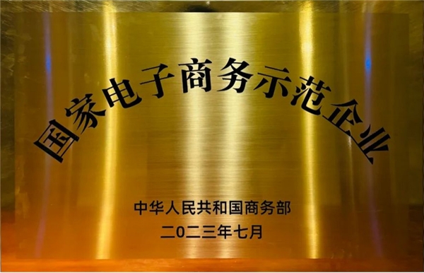 天马运动产业互联网：数实融合 赋能行业发展