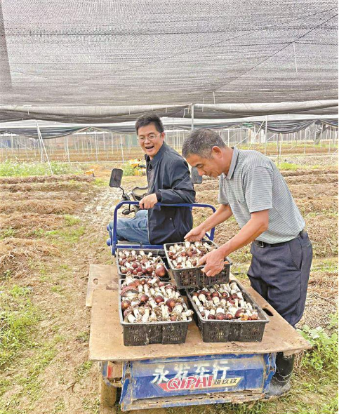 英德市青塘镇青北村：党建引领电商助力 探索高质量发展路