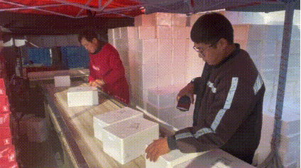 乳山生蚝出战，竞争最佳年货！山东小伙抖音电商月售300多万斤
